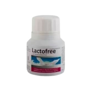 Bluecube Lactofree 60 kapsler 