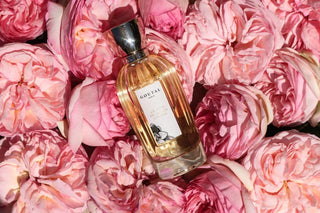 Annick Goutal Ce Soir Ou Jamais 100 ml Donna — Eau de Parfum