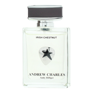 Andrew hilfiger Irish Chestnut, Eau De Toilette, da uomo, 100 ml