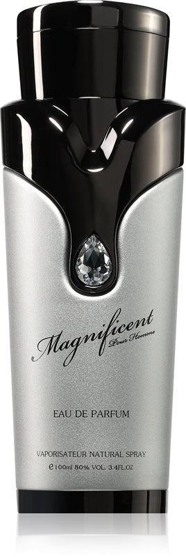 Armaf Magnificent Homme - EDP - Объем: 100 мл