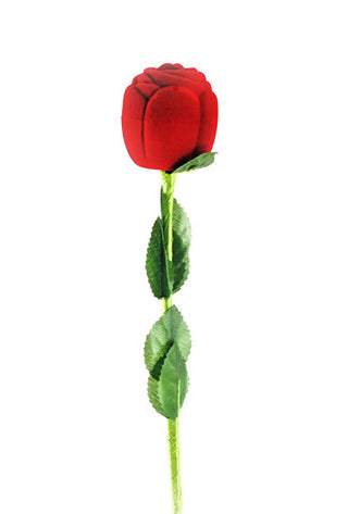 Beneto exclusive Fascinující Rose Box KS11