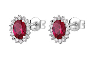 Brosway Elegantes pendientes de plata con rubí de fantasía FPR15