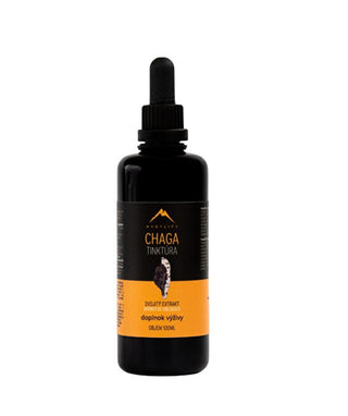 Hrotlife Chaga tincture 100 ml