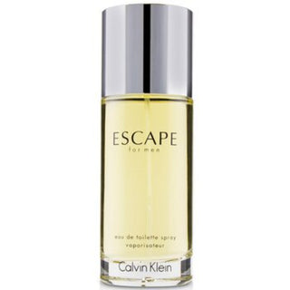 Calvin Klein Escape Eau De Toilette for men 100 ml