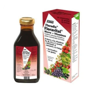 Salus Floradix Floravital 250ml 