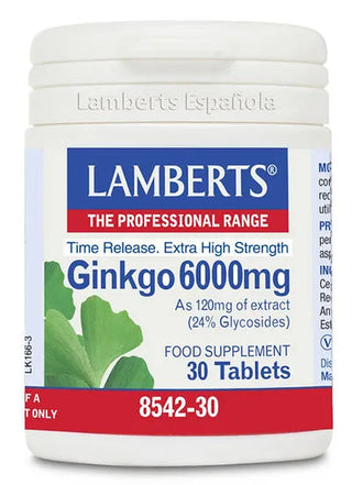 Lamberts Ginkgo Biloba 6000 mg 180 kapsułek — Suplement diety