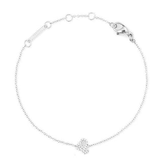 Daniel Wellington Bracelet en acier avec chaîne et cristal, signe astrologique Lion Dw00400935 