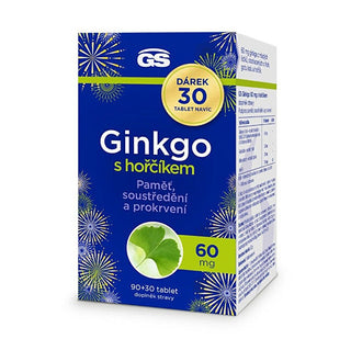 Greenswan Gs Ginkgo 60 mg med Magnesium 90+30 tabletter — Kosttillskott