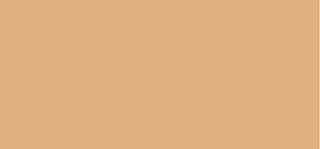 Shiseido Synchro Skin 301 Medium 2,5 g — Correttore in Gel Stick