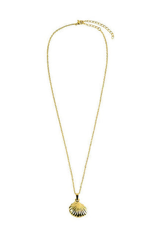 Victoria walls Women's gold-plated steel Necklace Shells VWN260705G
