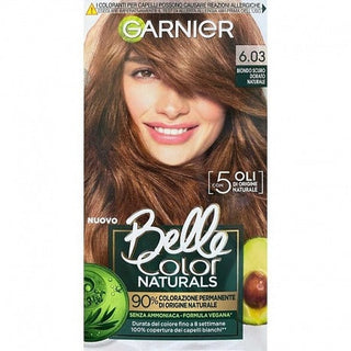 Garnier Crema Colorante Permanente Biondo Scuro Dorato 6.03 — Tintura capelli