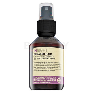 Insight Spray Reestruturante Cabelo Danificado 100 ml 