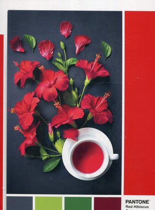 Clementoni, Pantone, Goji Berries, Παζλ, Unisex, 1000 κομμάτια