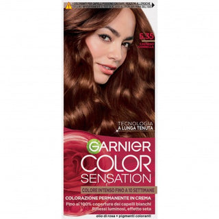 Garnier Color Sensation Перманентная крем-краска 5.35 Каштан Корица 