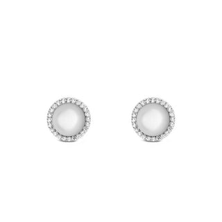 Daniel wellington Eleganti orecchini a lobo con madreperla e cristalli Audrey DW00401417