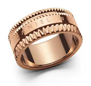 Daniel wellington Elevazione Anello in bronzo imperdibile DW0040019 - Circuito: 56 mm