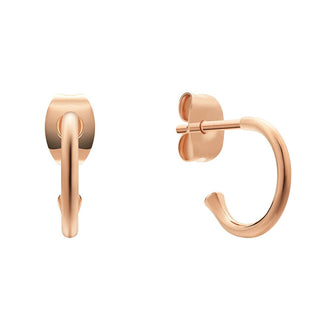 Daniel Wellington Gold-Plated Hoop Earrings Charms Dw00400767 