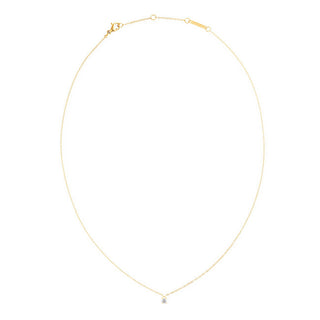 Daniel wellington Mirelle gold-plated Collana DW00401967