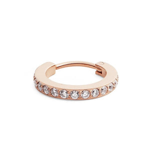 Daniel Wellington Orecchino Singolo In Bronzo Scintillante Con Cristalli Dw00400861