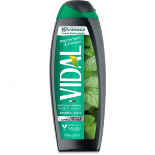 Vidal Doccia Schiuma 250 Ml Mint & Ginkgo