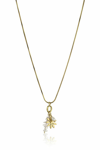 Emily westwood Delicado collar bañado en oro EWN23045G