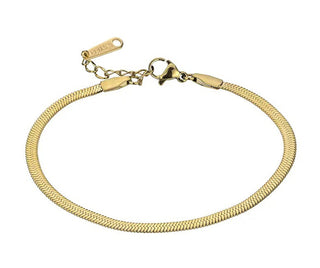 Emily westwood Julianna EWB23074G Pulsera delicada de acero dorado