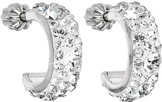 Evolution group The crescent Orecchini 31118.1 crystal