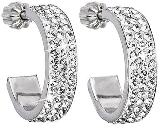 Evolution Group Pendientes de plata semicírculos 31119.1 Cristal 