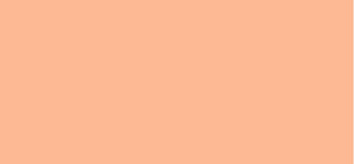 Max Factor Facenity All Day Flawless Liquid Concealer (Correcteur) 7,8 Ml - Teinte : 10 