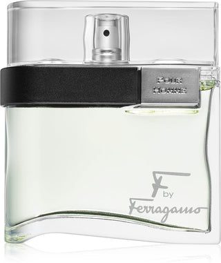 Salvatore Ferragamo F man EDT M 100 ml