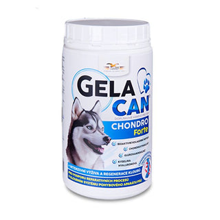 Gelacan Gelacan Fast 500 G