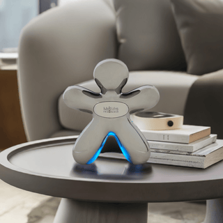 Mr&Mrs Fragrance Niki Agrume Piccante — Profumo auto