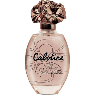 Gres Cabotine Fleur Splendide, Eau De Toilette, da donna, 100 ml