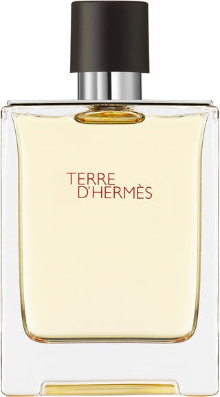 Hermes terre D'Hermes EDT M 100 ml