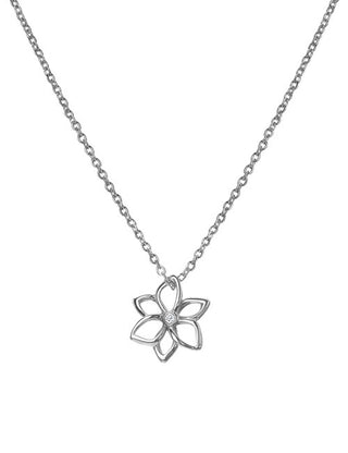 Hot Diamonds Collana In Argento Pregiato Con Bouquet Di Diamanti E Amuleti Di Diamanti Dp894 (Catena, Pendente)