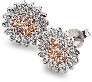 Hot diamonds Silver Orecchini Emozioni Spirzzare EE032