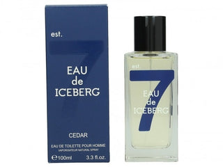 Iceberg Eau de Iceberg Cedar EDT M 100 ml