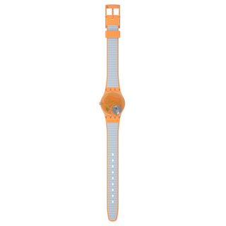 Swatch View From A Mesa LO116