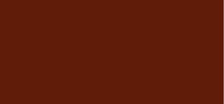 Inika Organic Siero Labbra Colorato Con Peptidi E Ceramidi (Tinted Lip Serum) 10 Ml - Tonalità: Rosewood