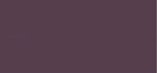 Clinique Matita Contorno Occhi (Quickliner For Eyes) 3 G - Tonalità: 15 Grape