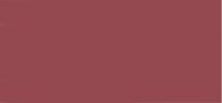 Clarins Matita Labbra 1,2 G - Tonalità: 05 Roseberry