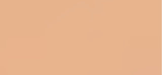 Lancôme Makeup in a stick Teint Idole Ultra Wear Shape Stick 9 g - Tonalità: 03