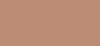 Mac Cosmetics Skinfinish Sunstruck Mattes Bronzing Powder (Matte Bronze R) 8 G - Farbton: Medium Rosy 