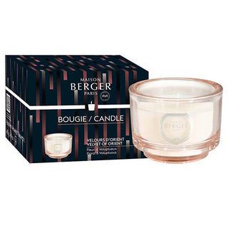 Maison berger paris 오리엔트 벨벳 오브 오리엔트 향초 베리에이션 벨벳 140g