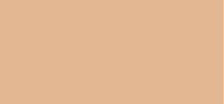 Max factor Moisturizing make-up Miracle Pure (Skin-Improving Foundation) 30 ml - Shade: 40 Light Ivory