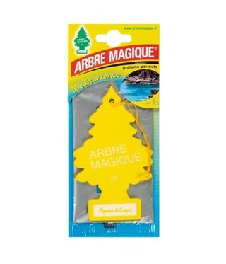 Arbre Magique Mediterraneo Agrumi Di Capri 5 G