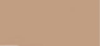 Max factor Eye Shadow Brush Brow Shaper 1 g - Shade: 10 Blonde