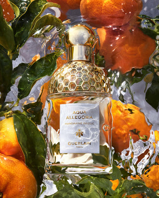 Guerlain Aqua Allegoria Mandarine Basilic EDT 75ml — Eau de Toilette