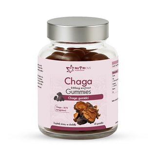 Nutricius Chaga gummies 500 mg 60 pieces