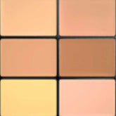Mac cosmetics (Paleta Pro Conceal and Correct) 6 g - Tono: Medio